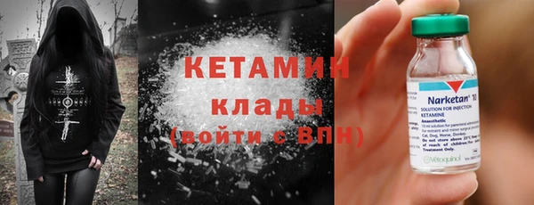 сатива Балахна