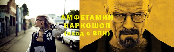 сатива Балахна