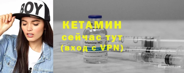 сатива Балахна