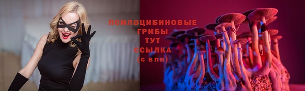 прущая мука Белокуриха