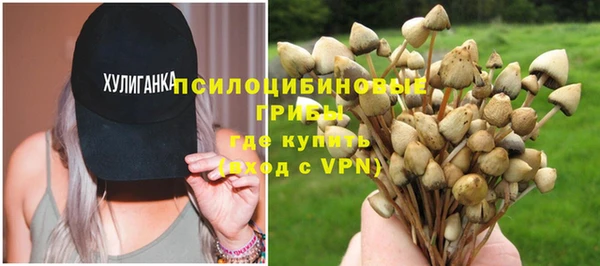 гашик Баксан