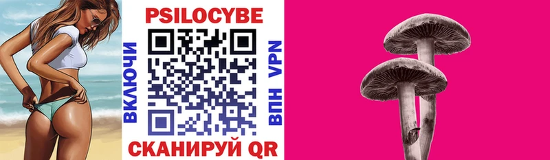 Псилоцибиновые грибы мицелий Шлиссельбург
