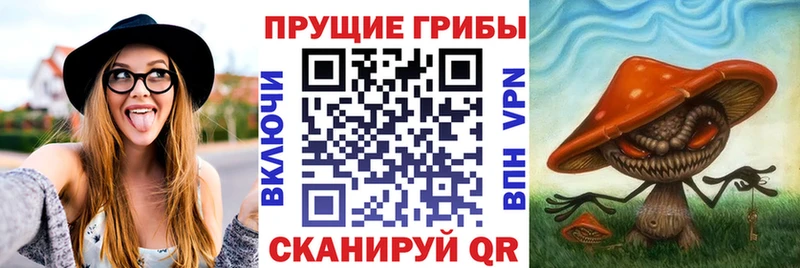 Галлюциногенные грибы Magic Shrooms  Шлиссельбург 
